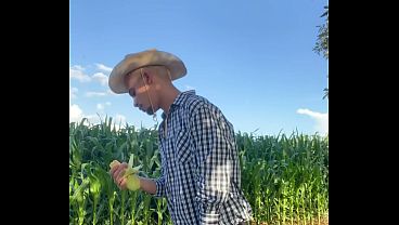 NOVINHO AGROBOY ENFIANDO MILHO INTEIRO NO CUZINHO NO MILHARAL