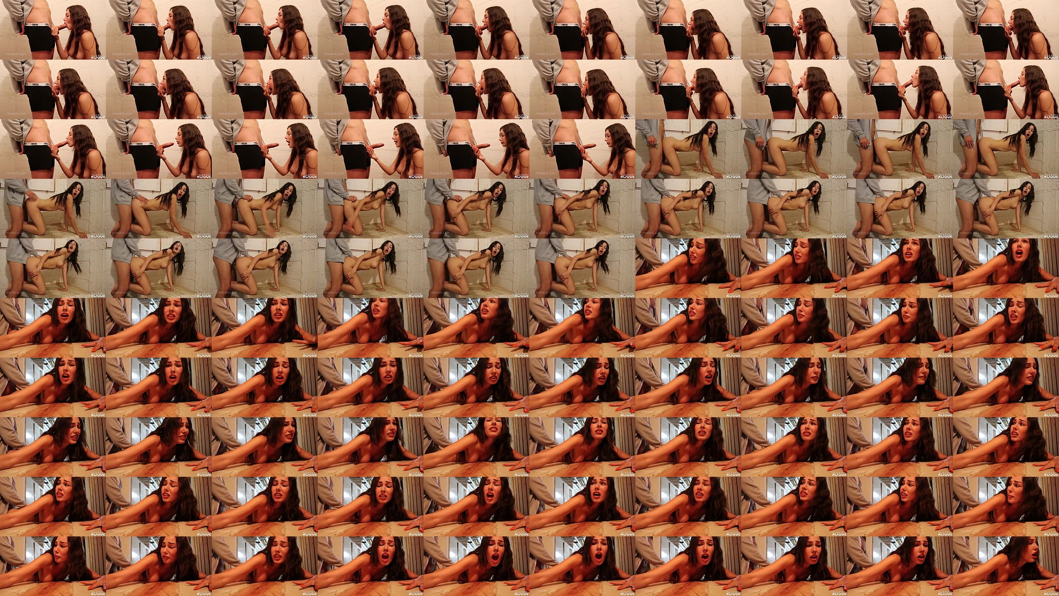 Dirty Doggy Fuck &amp; Facial in the Basement - Shaiden Rogue OTS954 预览图