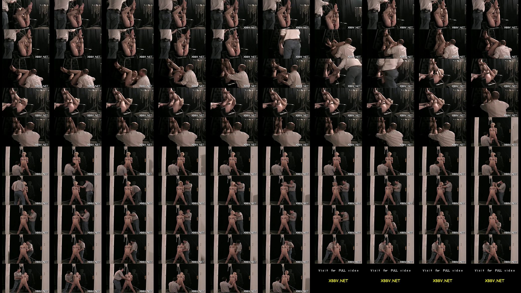 Steamy sadomasochism dilettante scenes 预览图