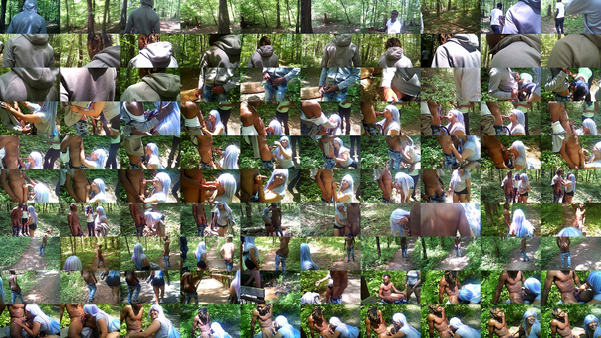 romp in the woods 预览图