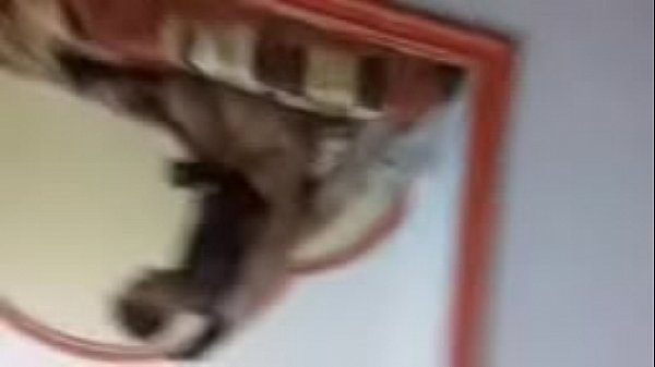 Download Video - Cogiendo A Sandy