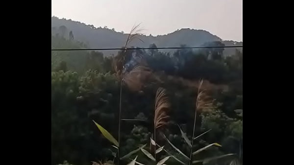 Video x&aacute;c minh