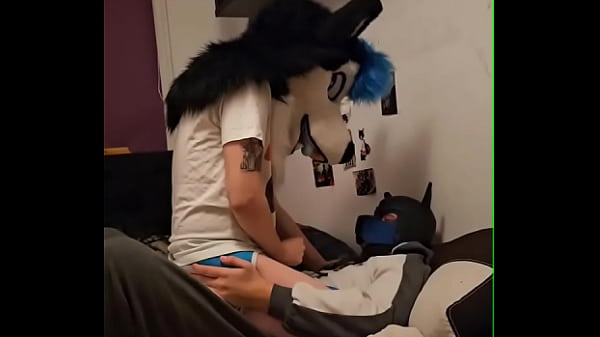 Download Video - Femboy husky fursuiter cums while riding his boyfriend