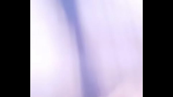 Hündin