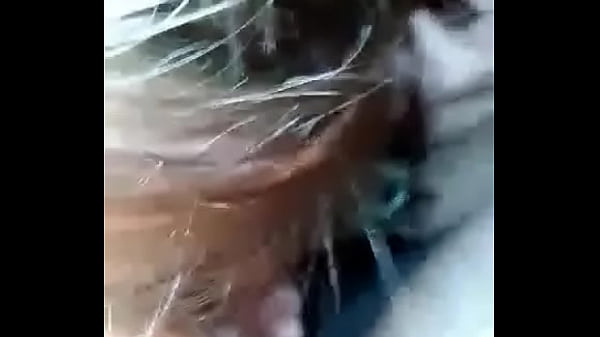 thumb sucking cock