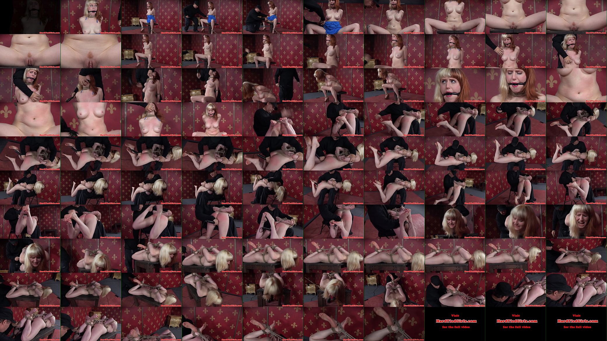 Tiedup submissive spanked and flogged roughly 预览图