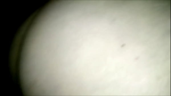 Chunky 50 Year Old Sucking Cock