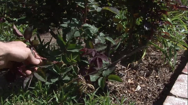 Tory Lane has been told she gives the best blowjob this side of the Mississippi river