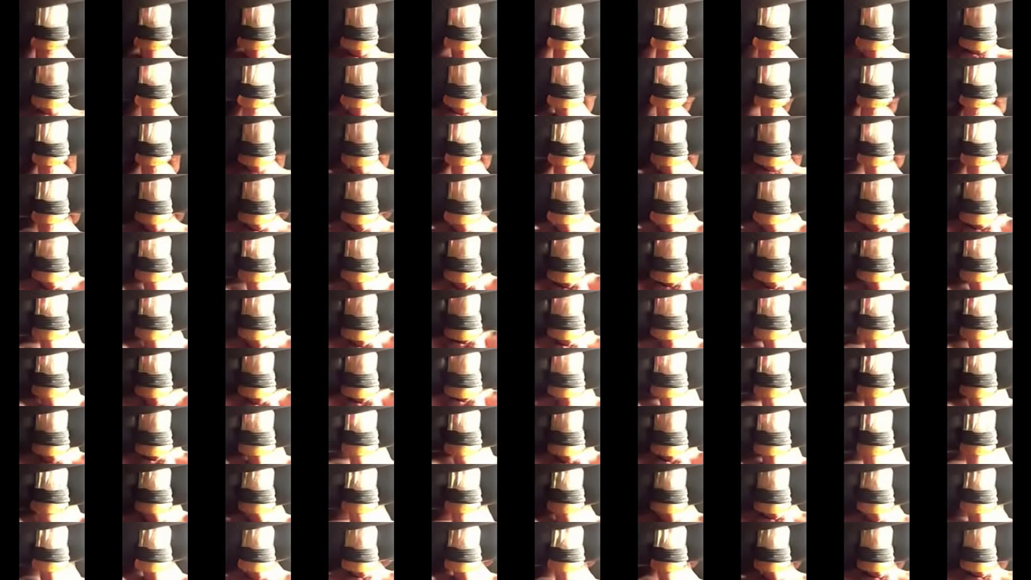 Fleshlight Fun 预览图