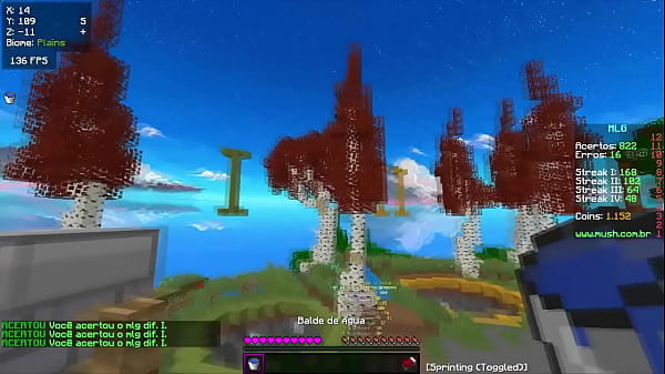 ficando molhadinho ao som de rap do minecraft