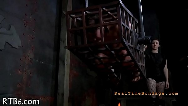 Xv-42d14a80a39565fc622ba00271c83d29