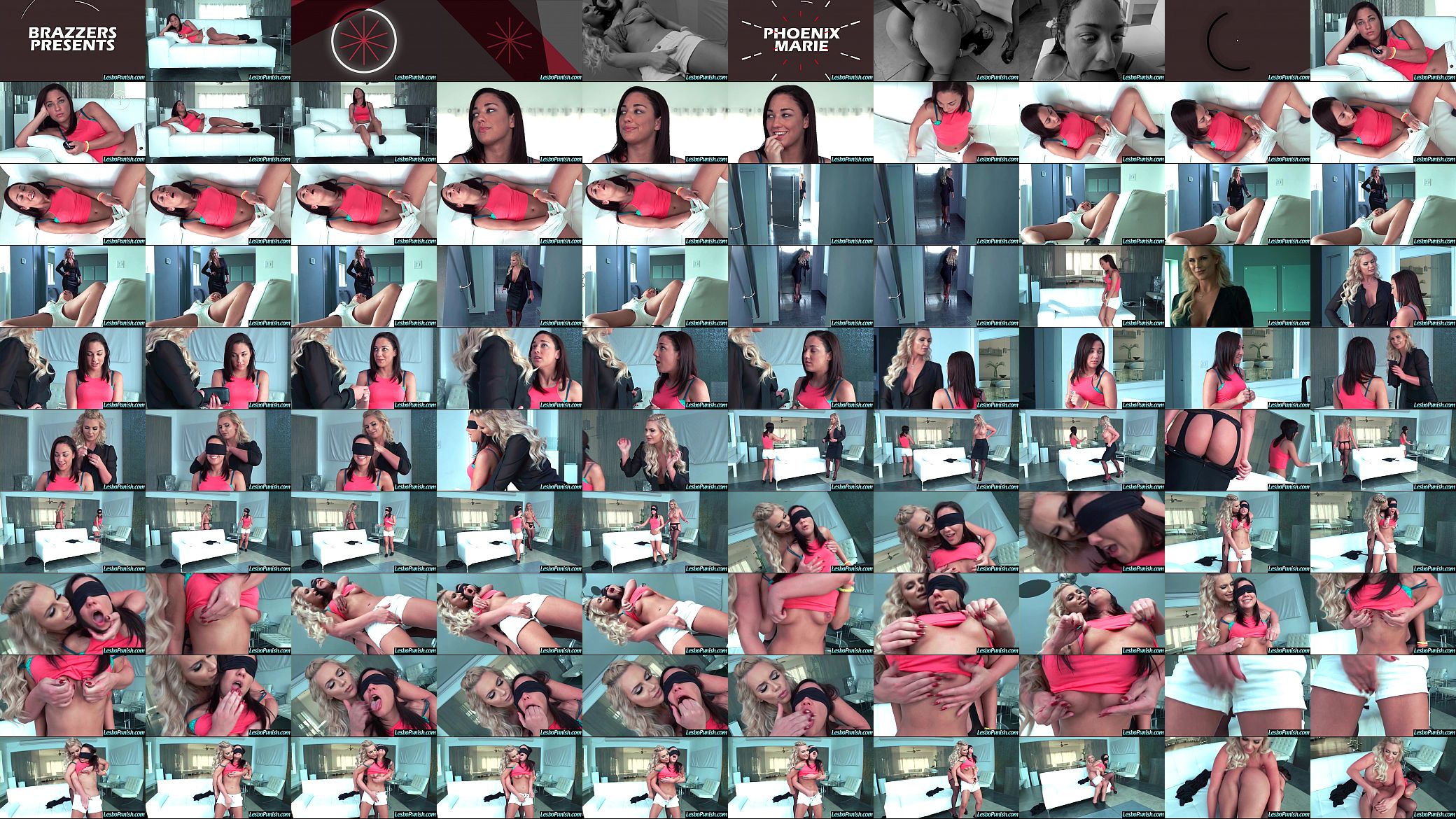 Punish Sex With Dildos Used By Lesbian Girls (Phoenix Marie &amp; Amara Romani) vid-24 预览图