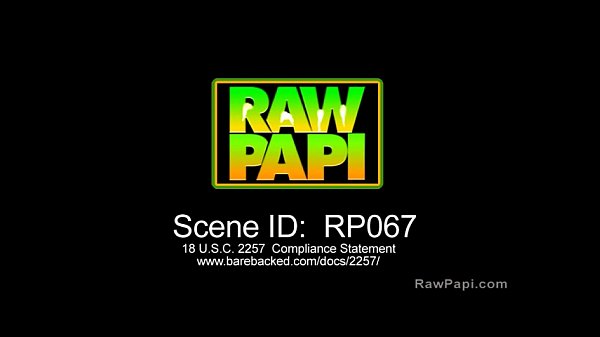 Download Video - Wild Gay Latino Men Having Bareback Sex