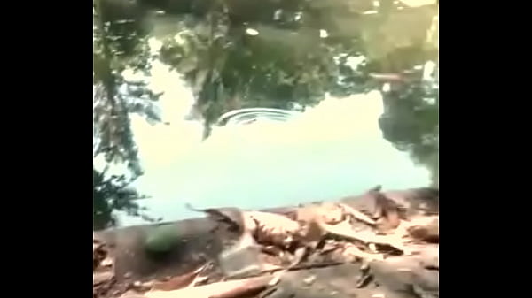 Vidéo De Vérification