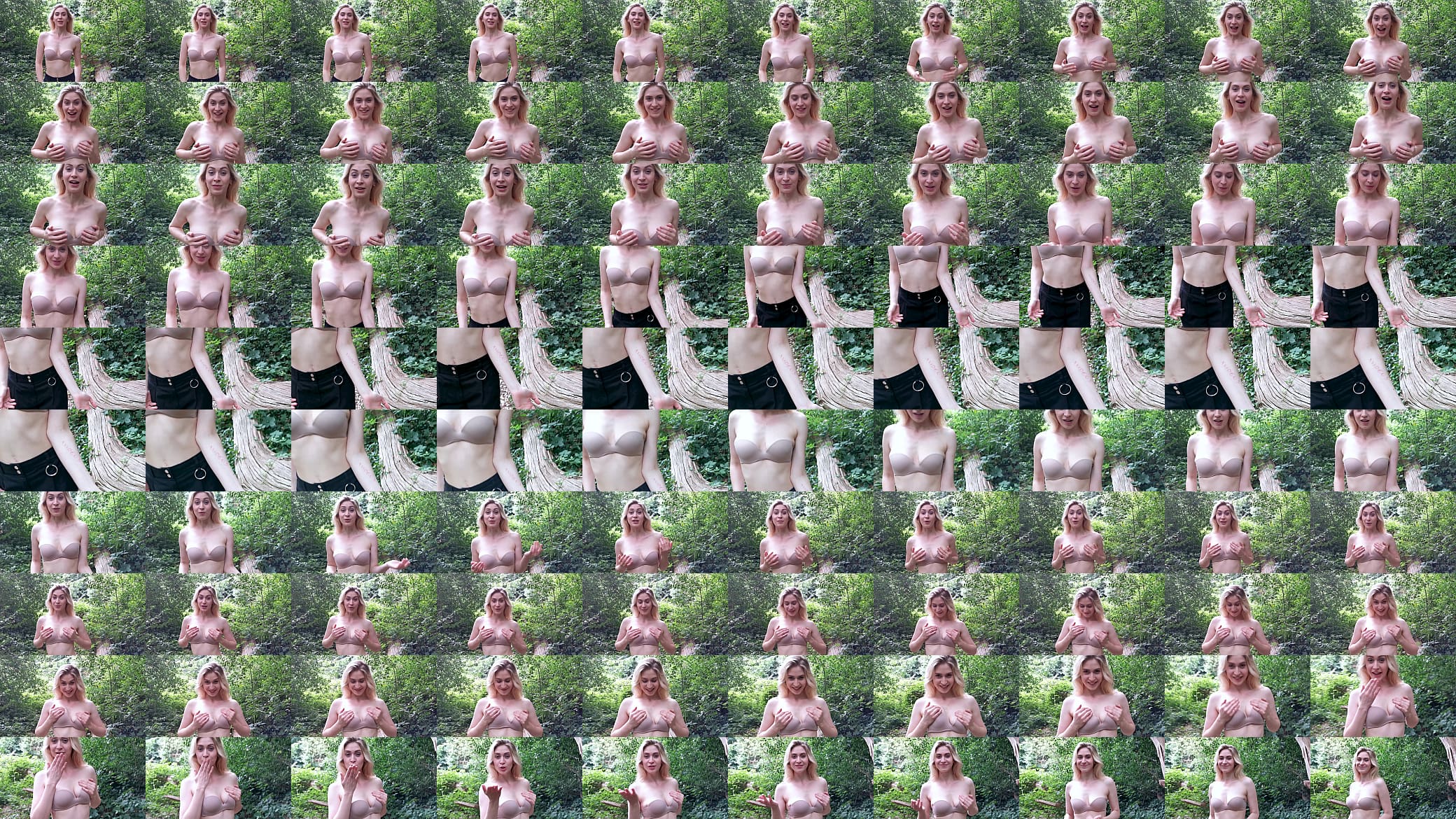 Verification video 预览图