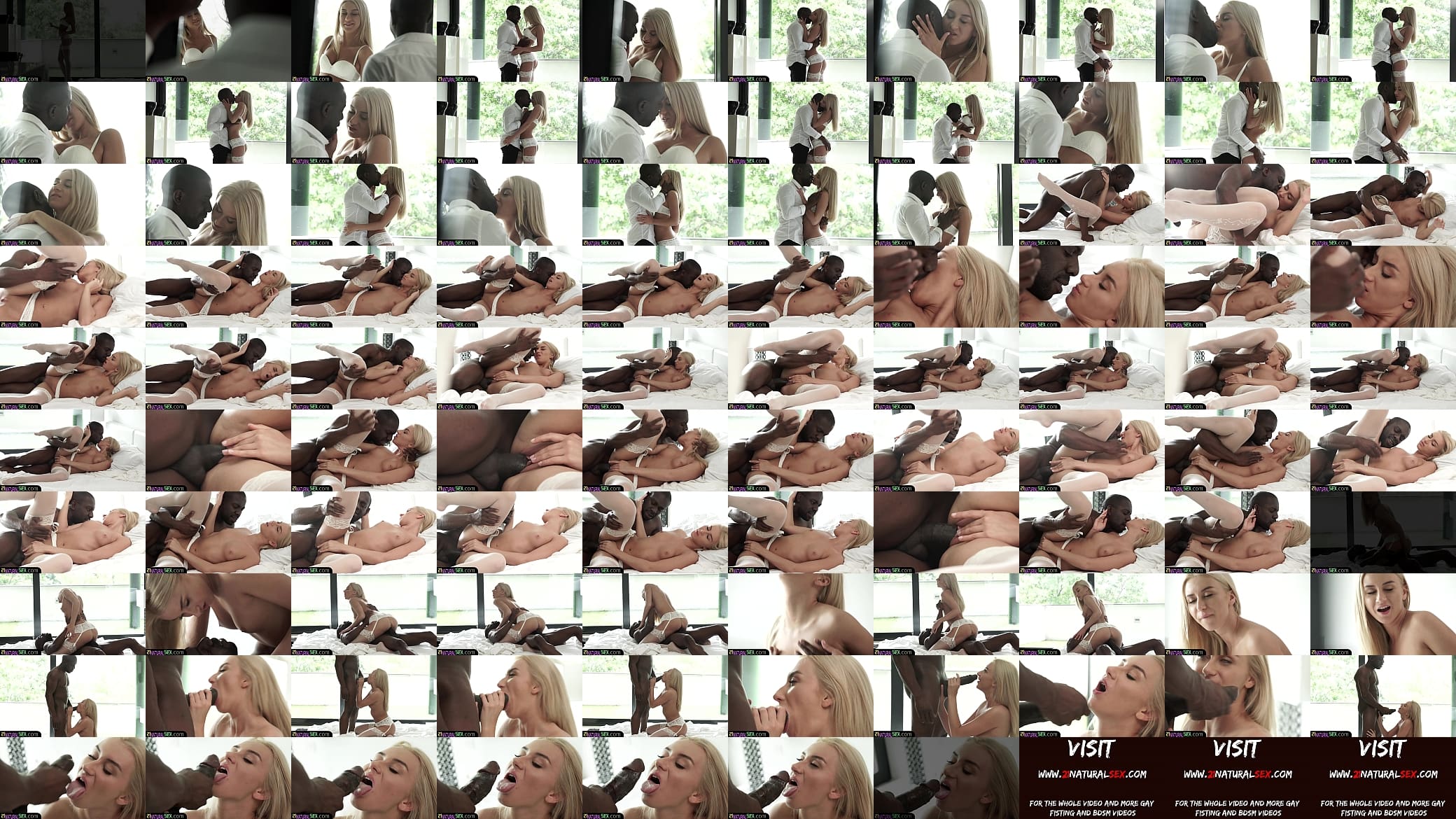 Interracially fucked model loves sucking 预览图