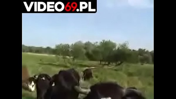 Polish porn - Rural atmosphere