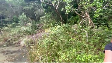 A walk in the woods