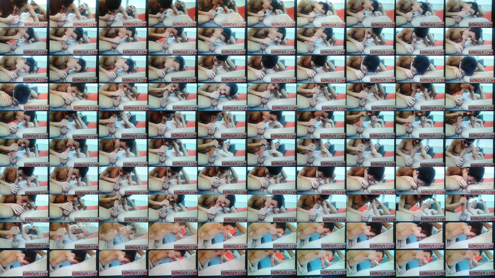 gay come polla 预览图