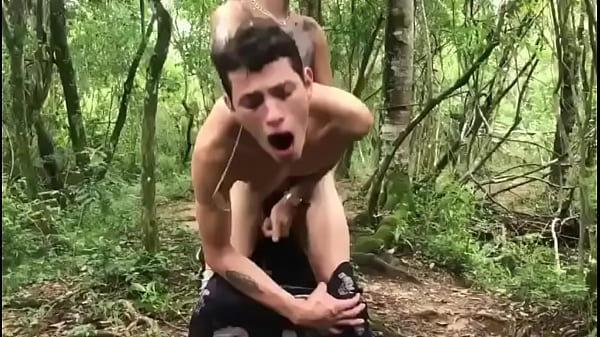 Donner Ne Tue Pas Un Ami Pro!