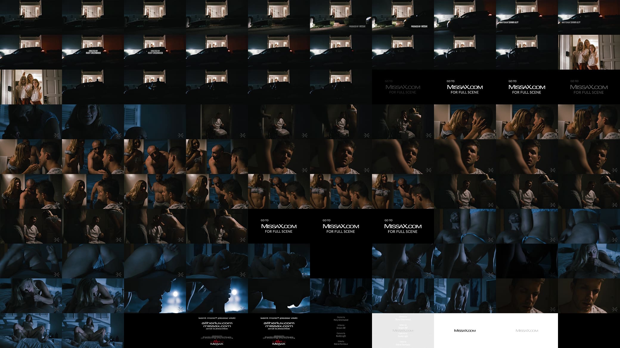 MissaX.com - The Cure Pt. 1 - Teaser 预览图