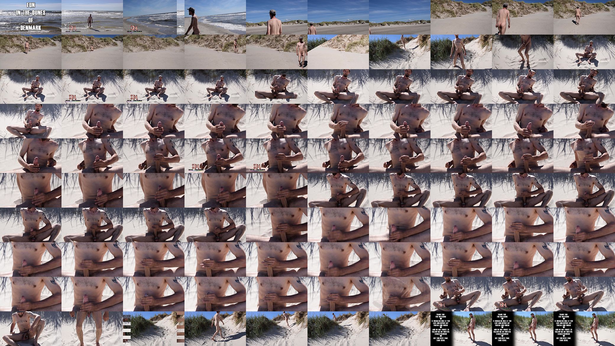 Fun in the Dunes of Denmark 预览图