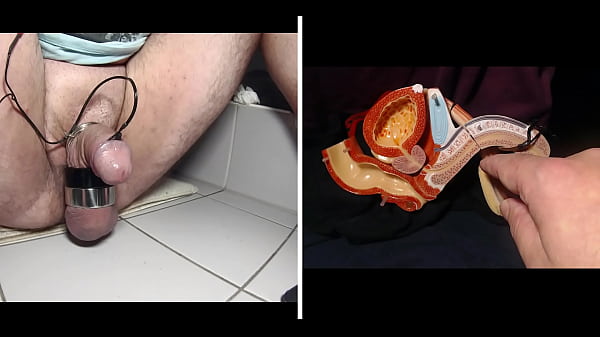 Sexe Électro - Comment Ça Marche