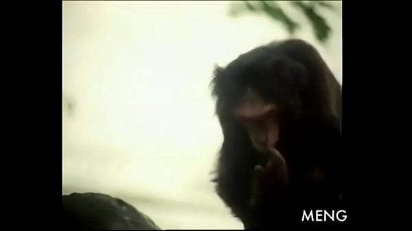 Tarzan and Jane