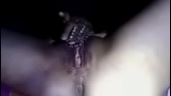 Thai student girl opens her pussy and sticks a finger in her clit until she cums.