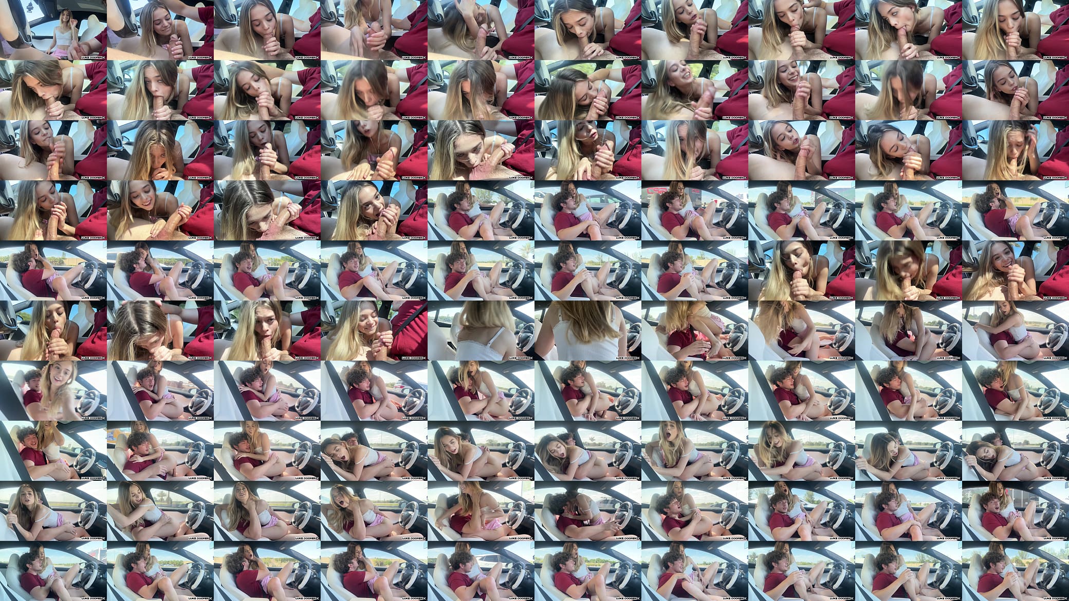 Sexy Petite Blonde Little Fucking On Road Trip 预览图