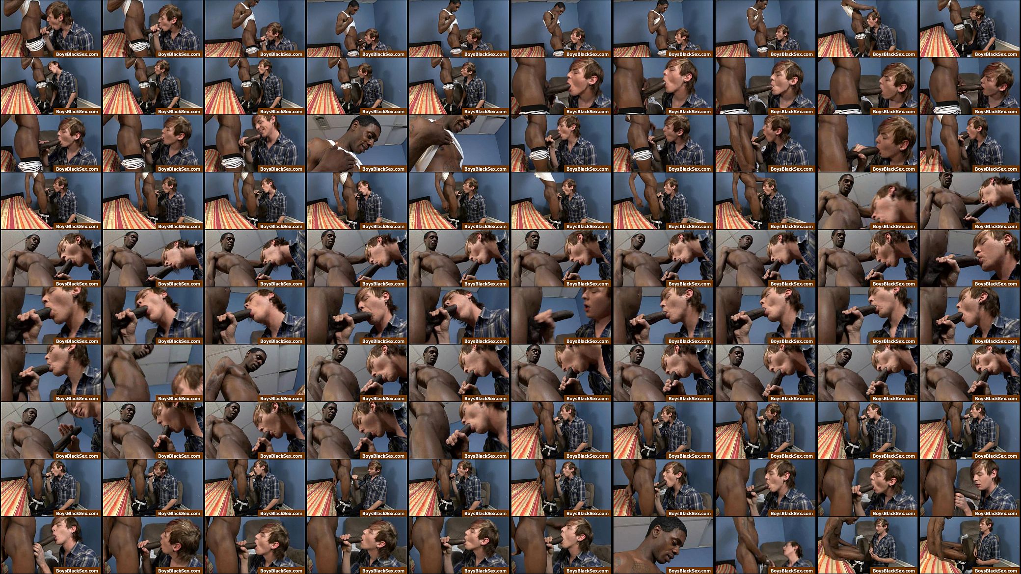 Blacks On Boys - Interracial Porn Gay Videos - 09 预览图