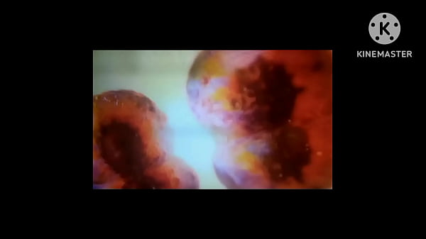 * VIDASAFADA* Boas Vindas aos meus novos Vizinhos Olha que Putaria Gostosa