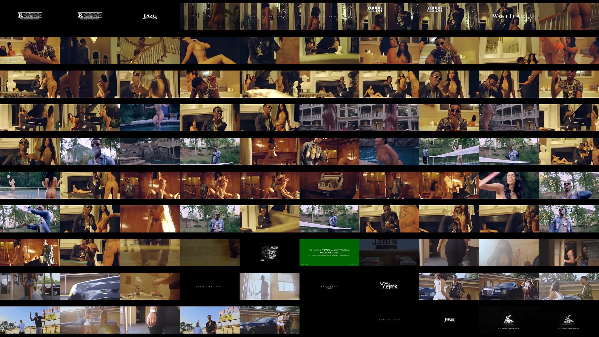 Young Dolph &quot;Want it all&quot; Offical music video 预览图
