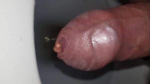 Download Video - pisse wc