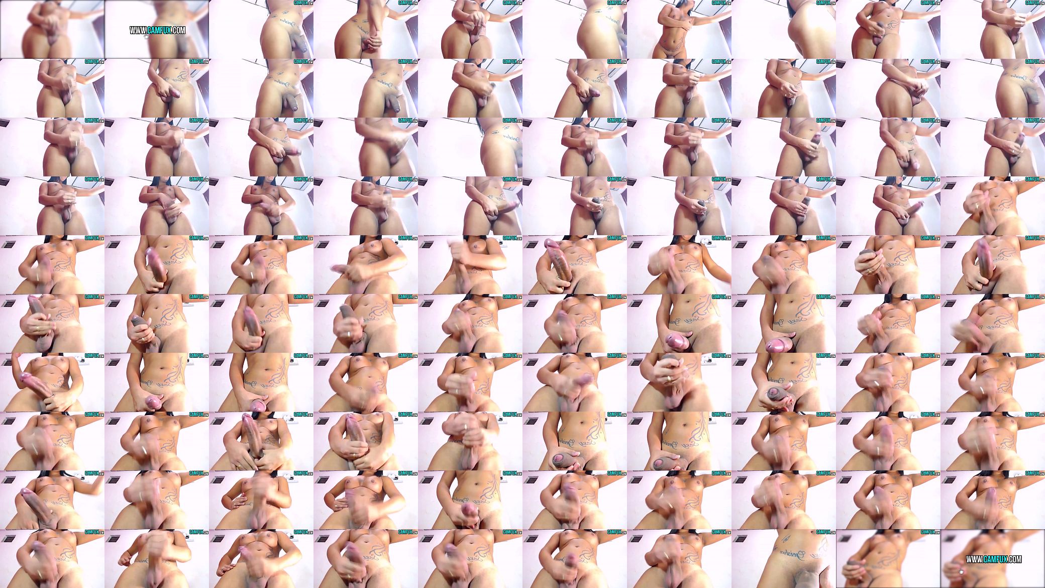 Huge Latina Cock 预览图