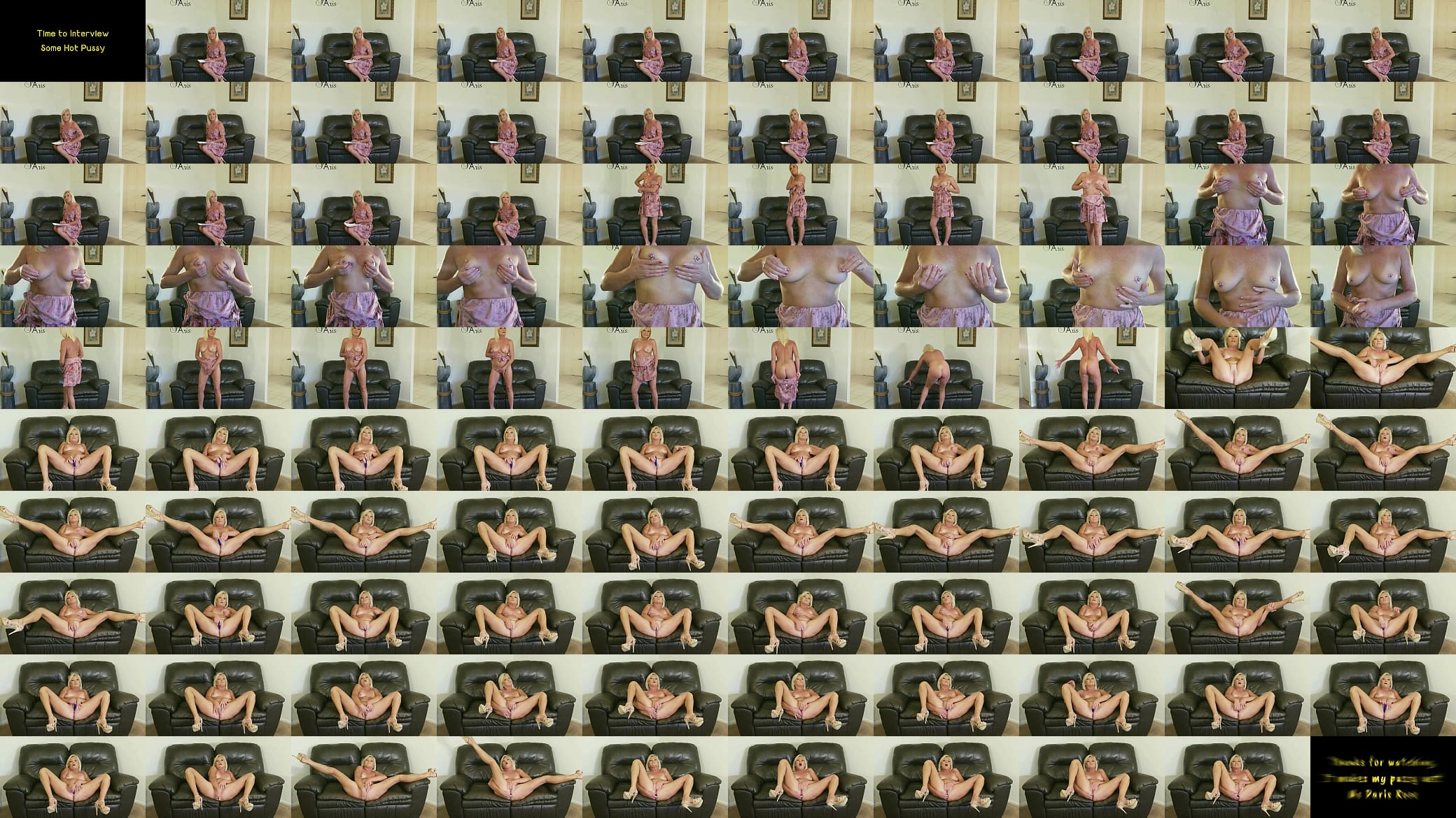 Time to Interview Some Hot Pussy 预览图
