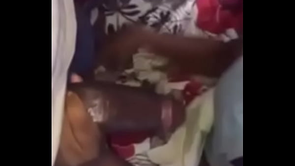 无牙吸疯狂的公鸡