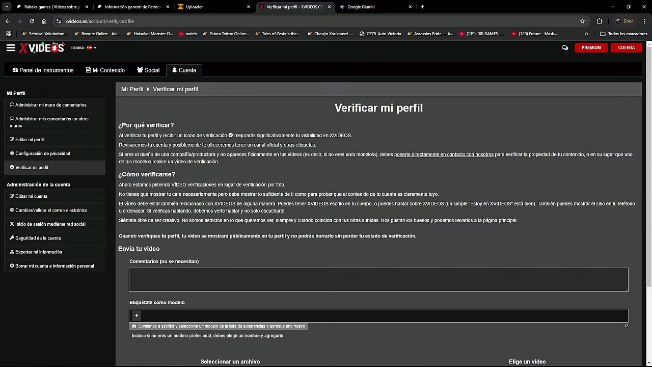 V&iacute_deo de verificaci&oacute_n