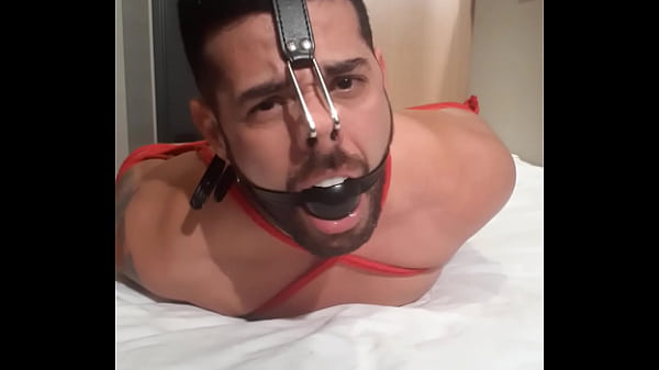 Leicy Sposito pig nosehook hogtied bondage ball...