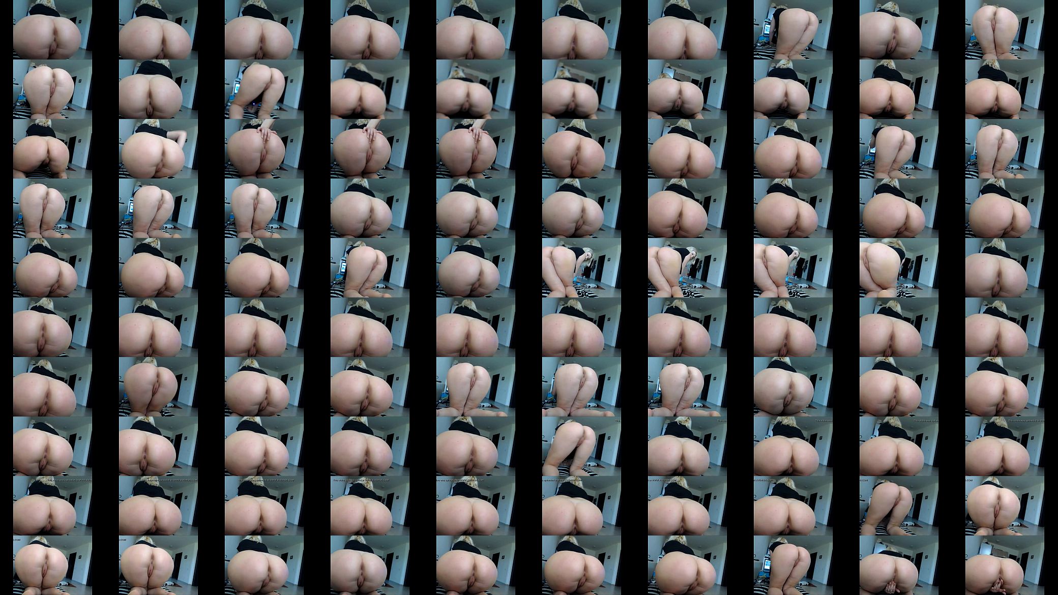cu cuzinho 预览图