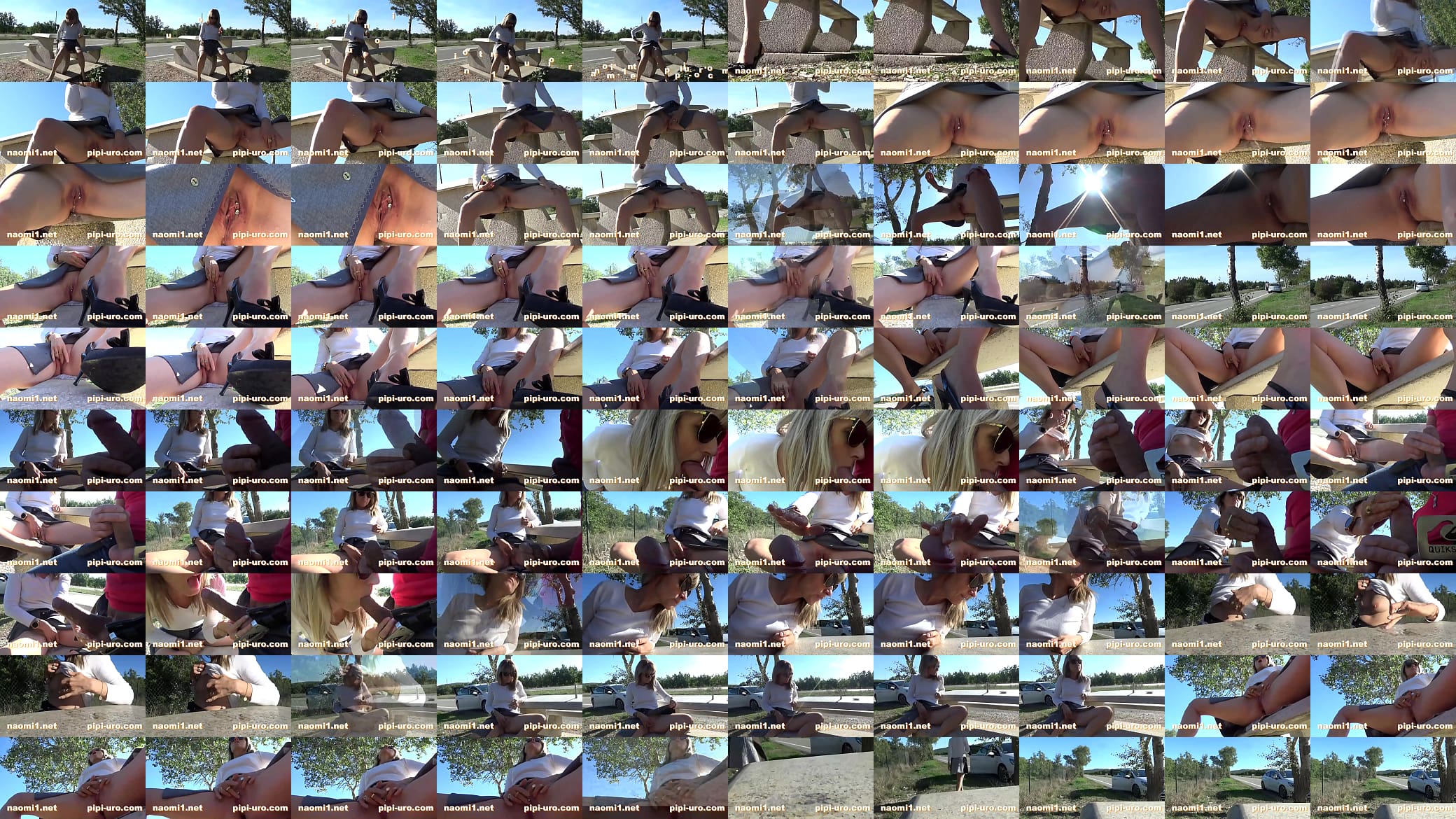 Naomi et Nico masturbation au bord de route 预览图