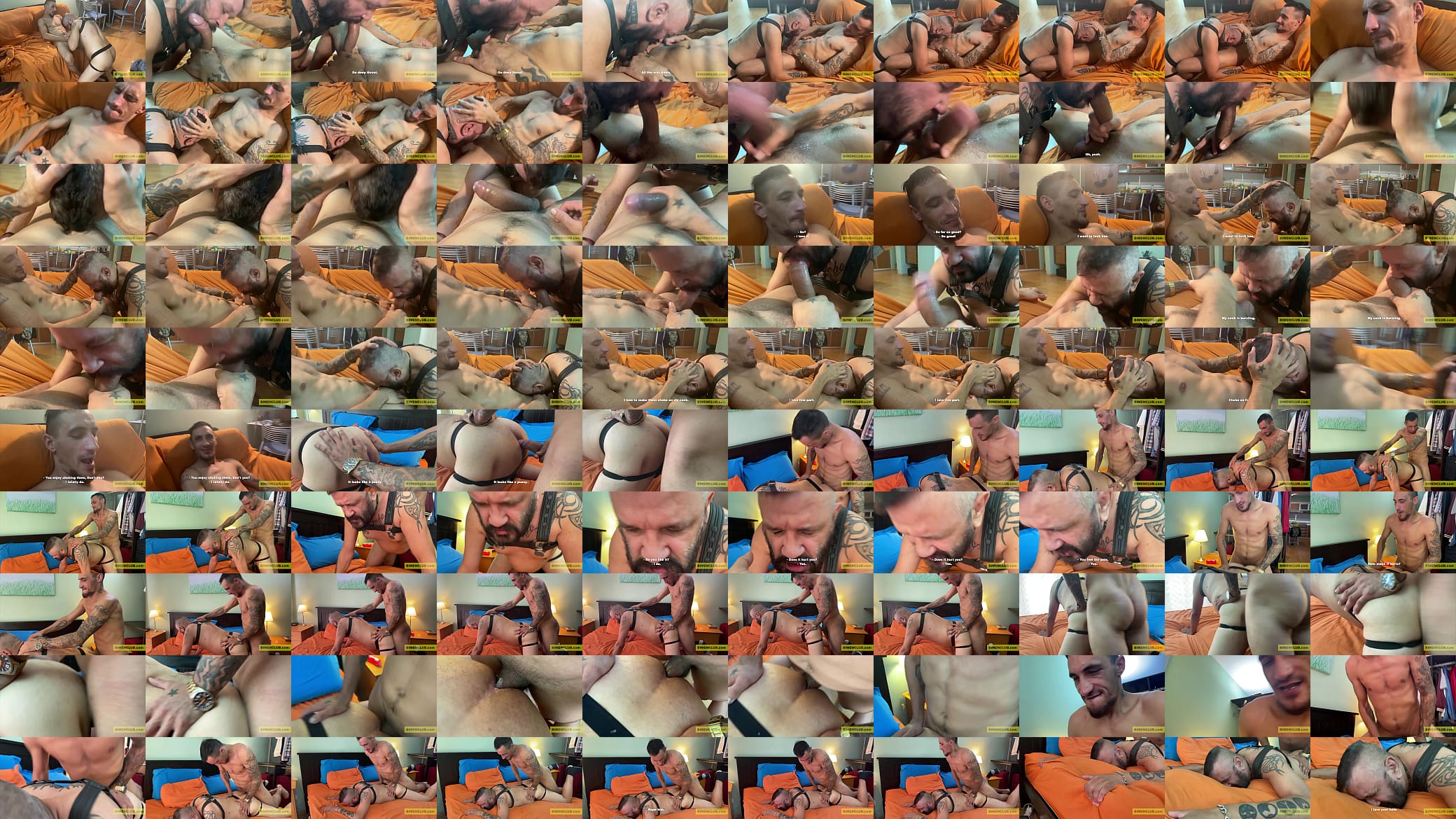 Straight Guys Fucking Gay Guys 预览图