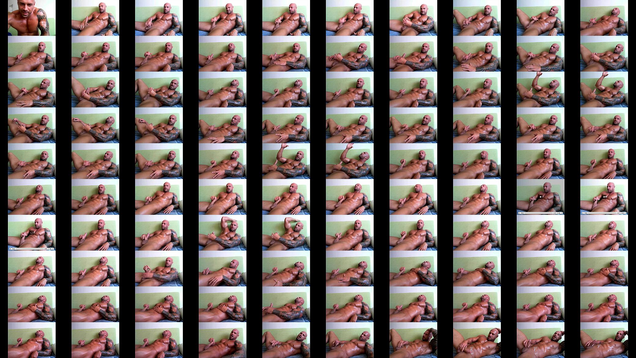 Leonardo Webcam 预览图