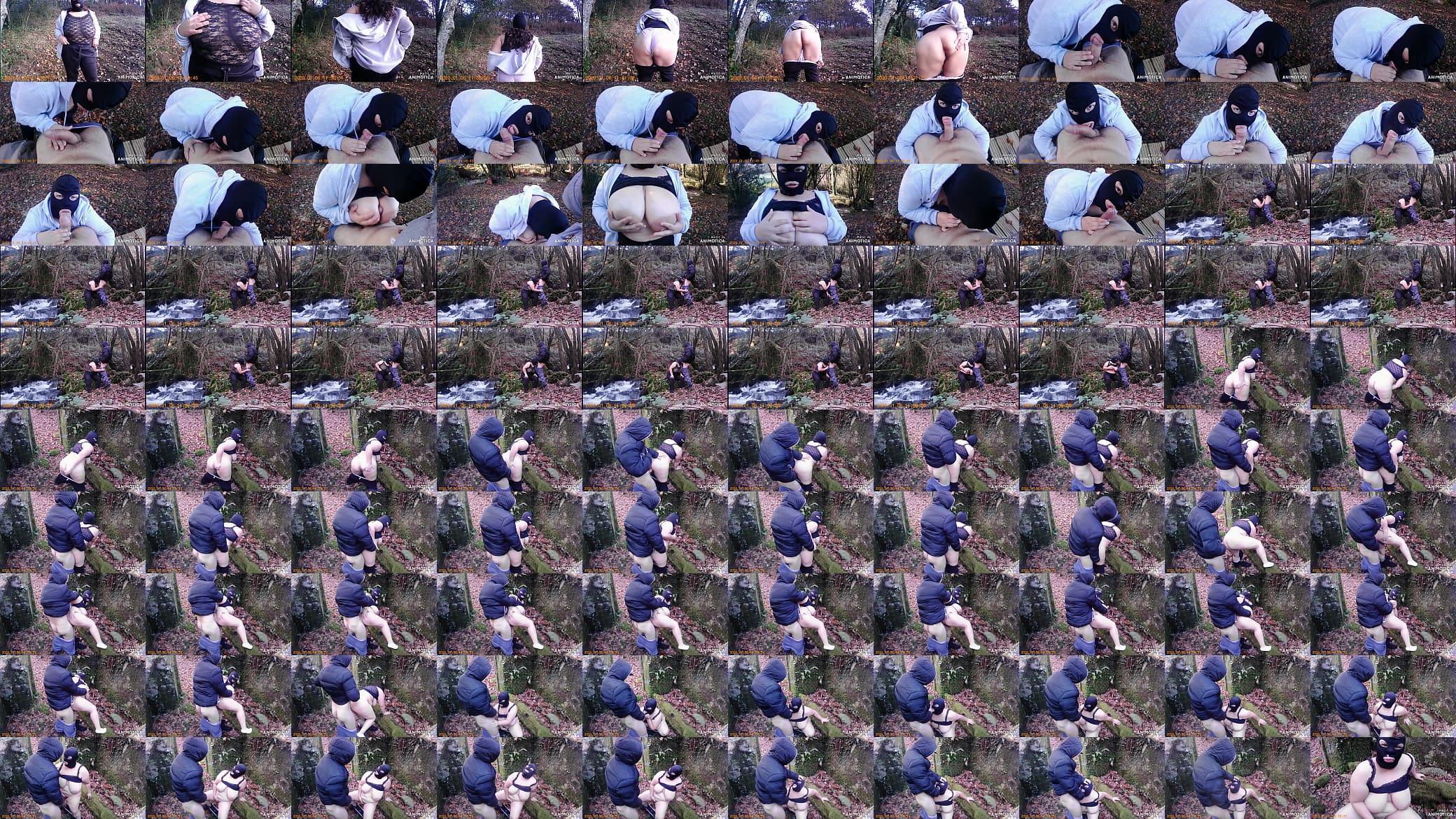 Mi como se la follan en el bosque 预览图