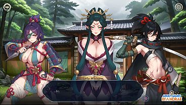 Download Video - Harem Fantasy - Kinky Ninja Scroll Gameplay Part 1 - Entering the Hidden Village of Kagura