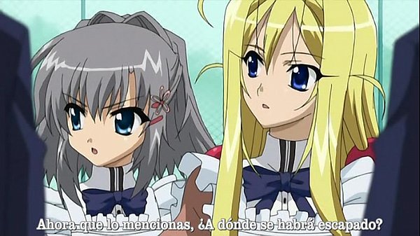 Pente Teinte En Couleur Garance 07