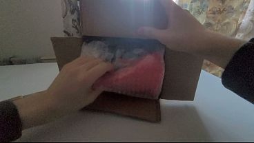 Kogasa fumo unboxing