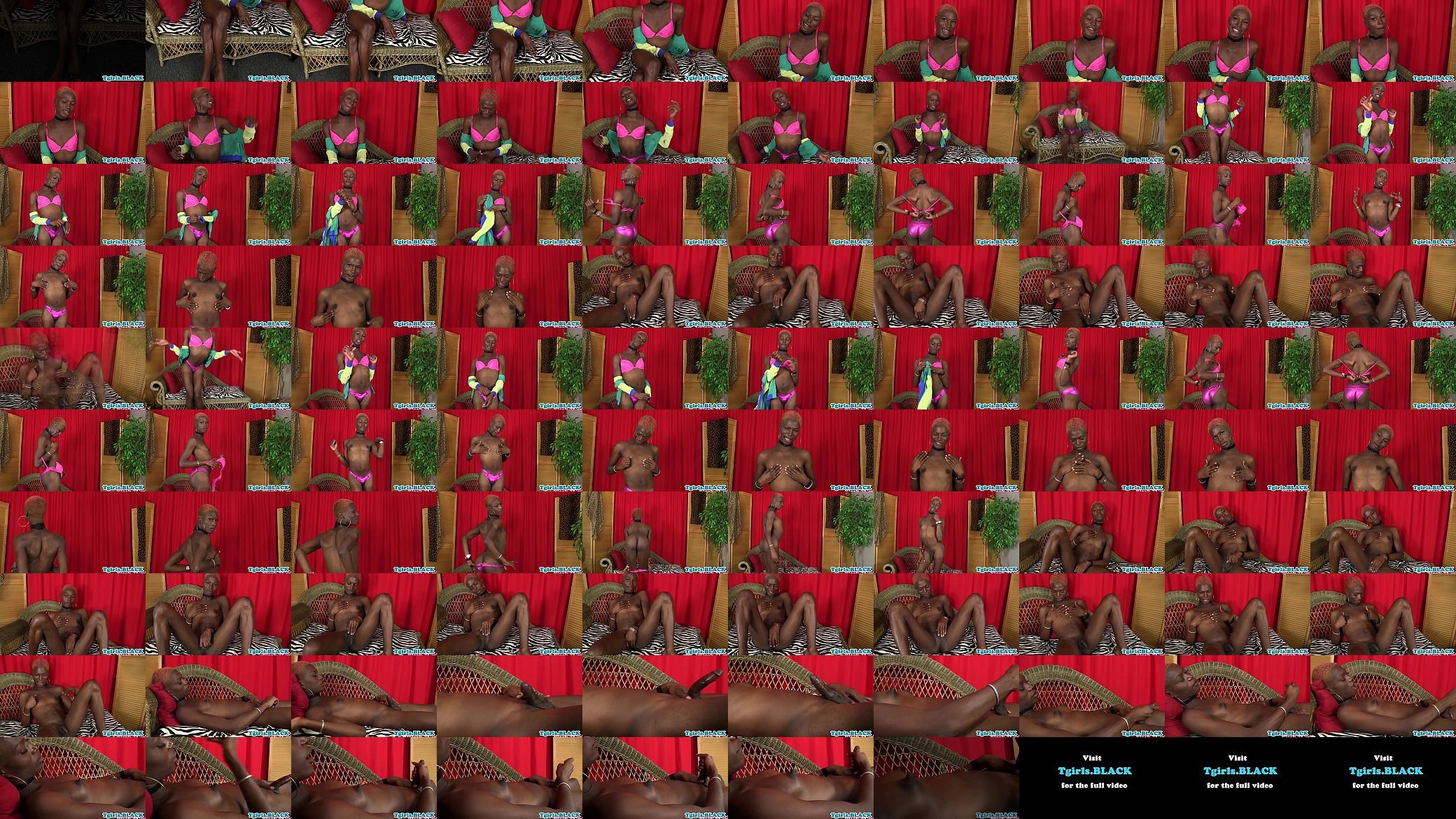 Stunning nubian ts babe wanks her black cock 预览图