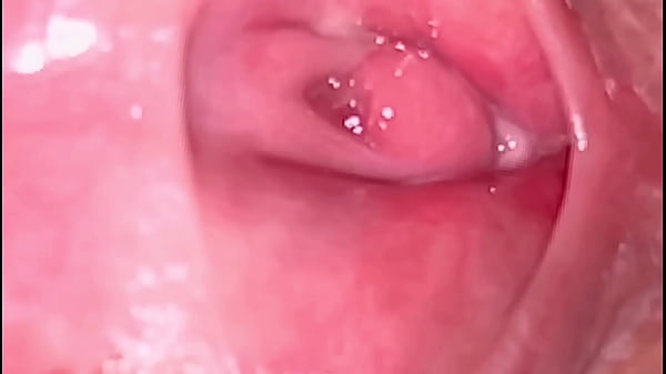 Download Video - Unbelievable&excl; Take a picture of a virgin pussy&excl; There is no hole to put your dick in&excl; Can you find it&quest;