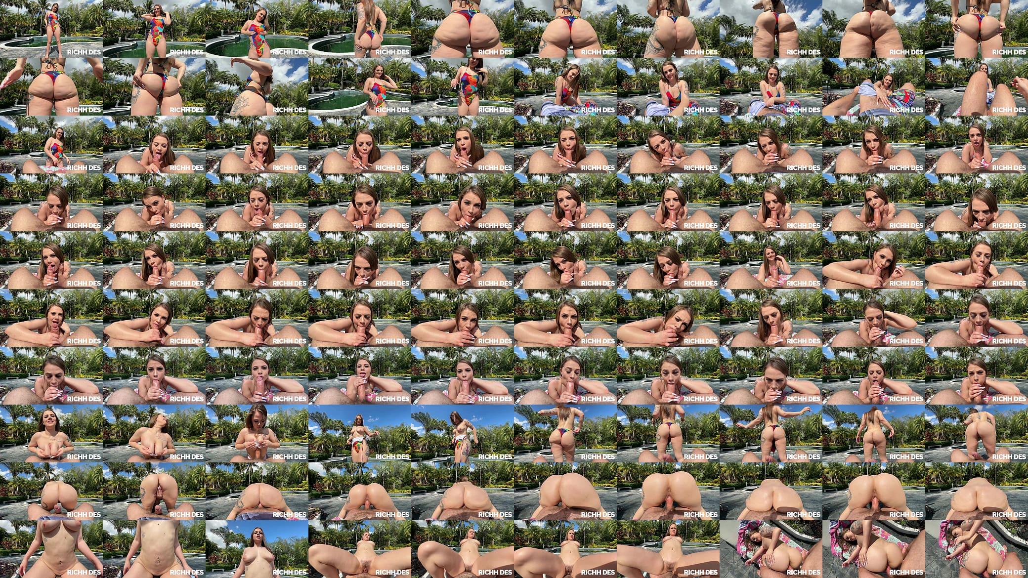 Horny Big Booty Tourist Gets Pounded By The Pool On Her Summer Vacation - Richh Des And Brian Omally 预览图